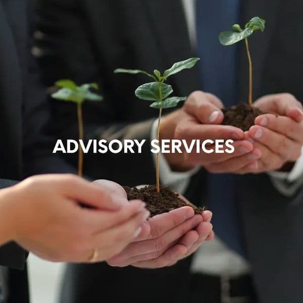Advisory Services