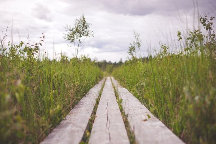 Agriculture