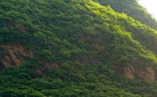 Climate Change Risk Management