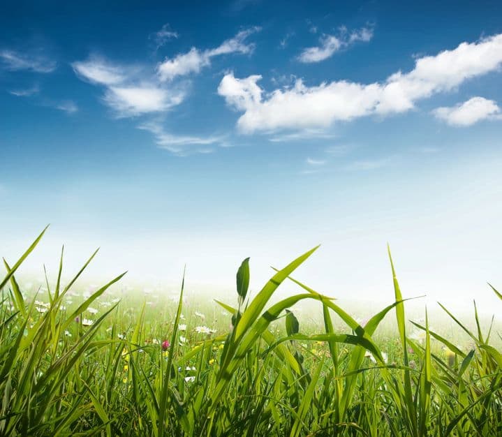 Sustainability