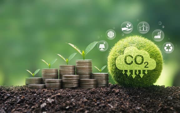 Carbon Asset Development